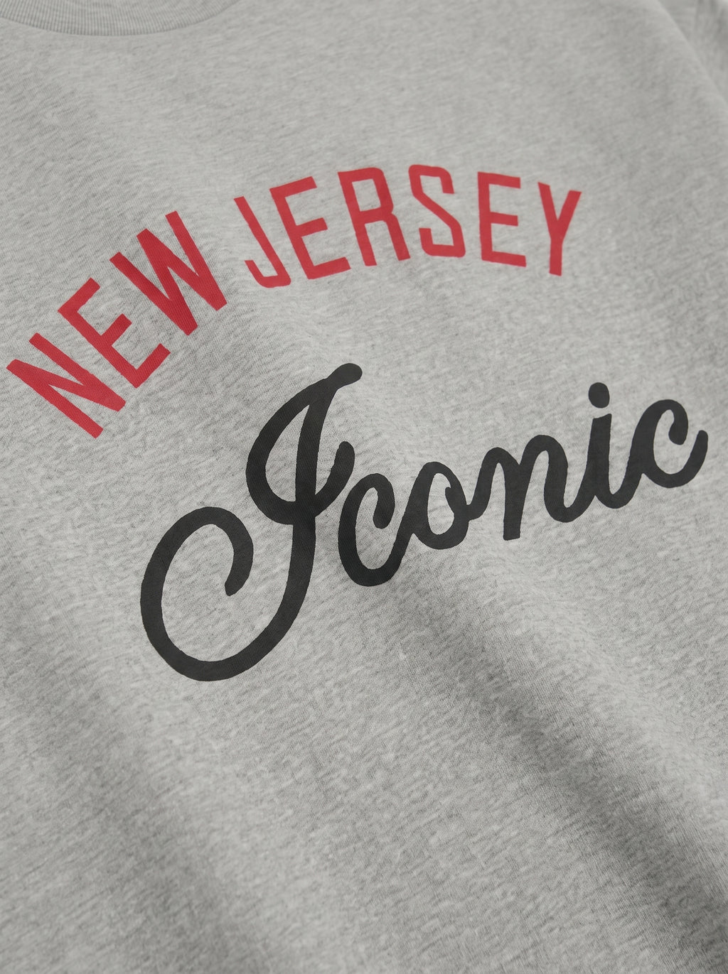 Iconic II Vintage Boxy Tee