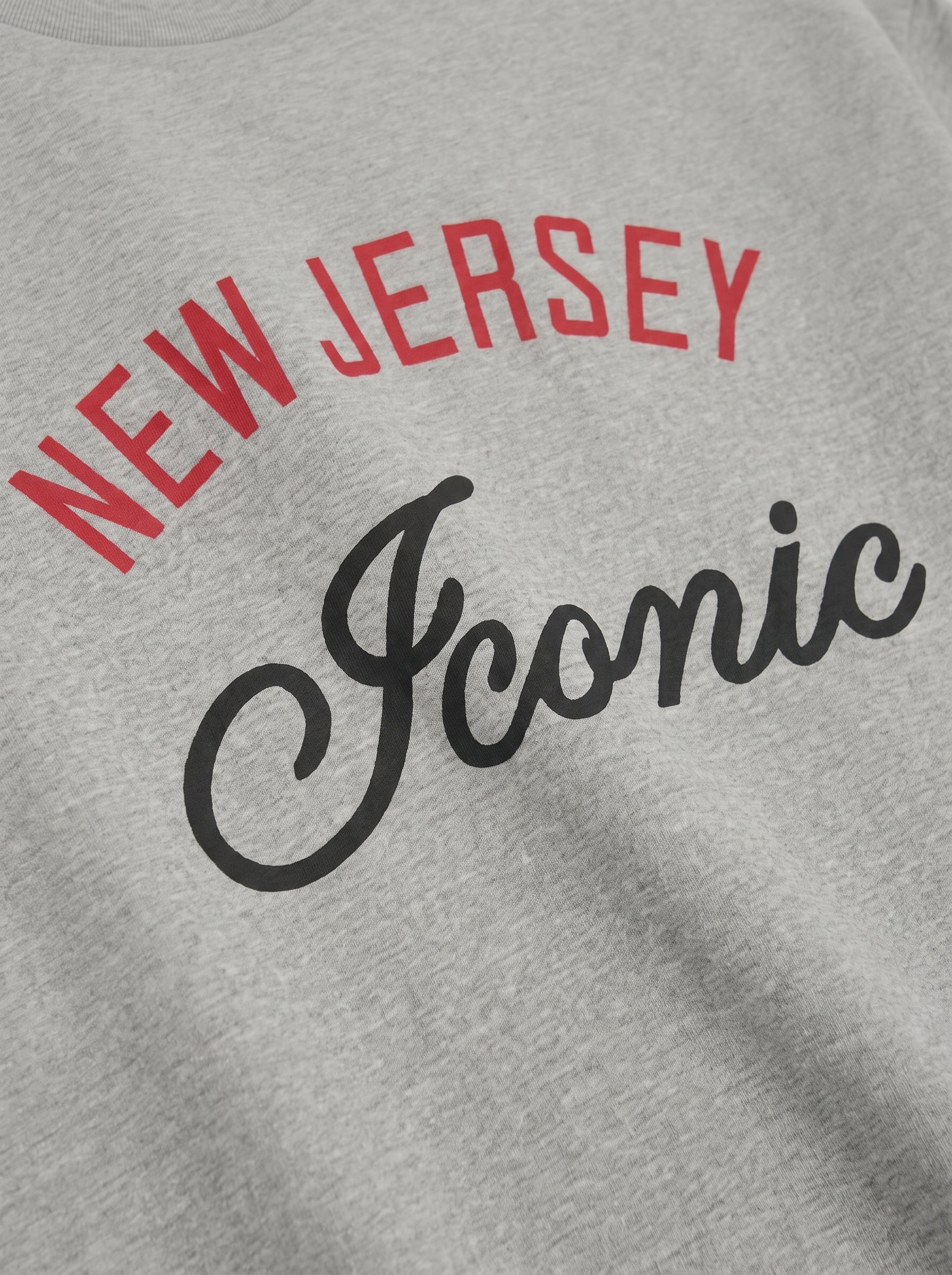 Iconic II Vintage Boxy Tee