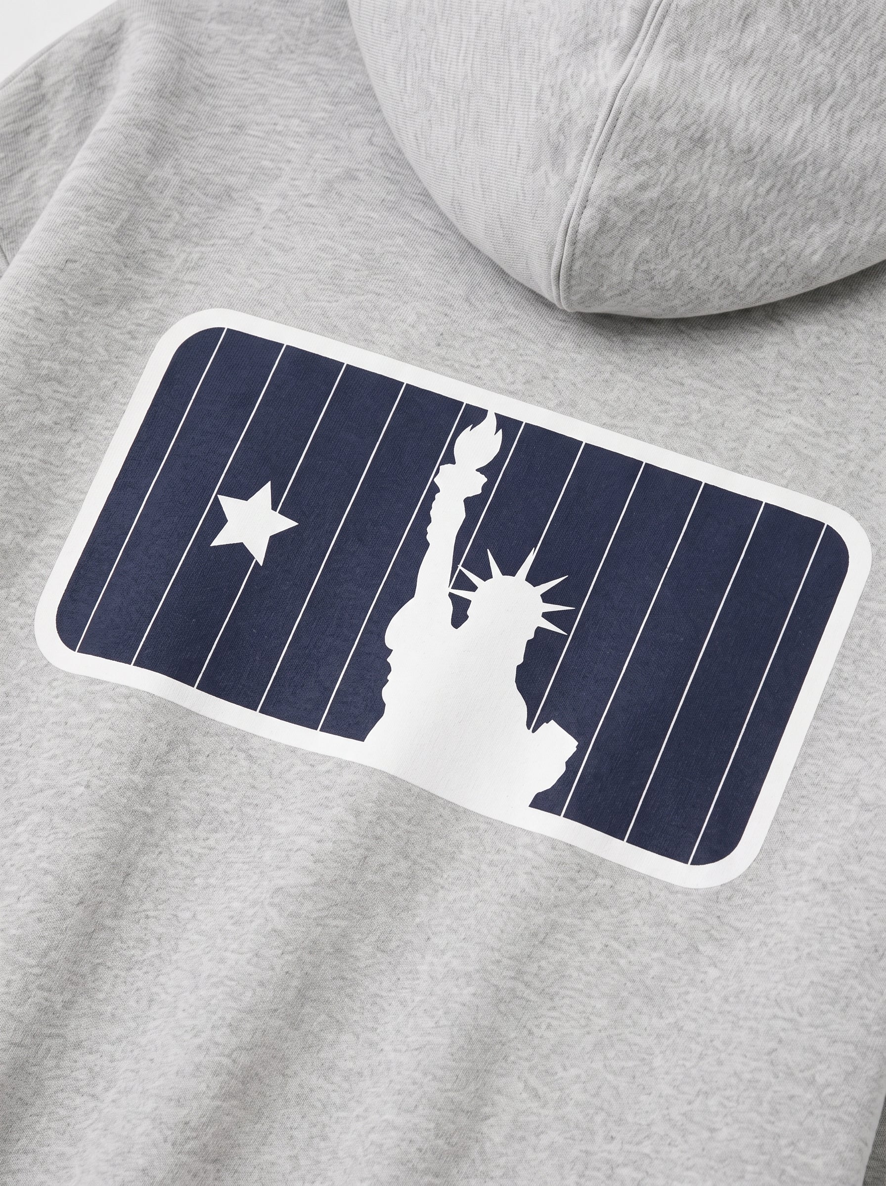 Iconic II The Bronx Sport Hoodie